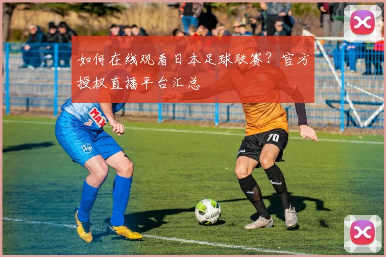 如何在线观看日本足球联赛？官方授权直播平台汇总