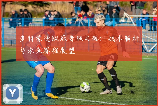 多特蒙德欧冠晋级之路:战术解析与未来赛程展望